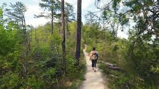 女人沿着小径徒步旅行 — 图库视频影像