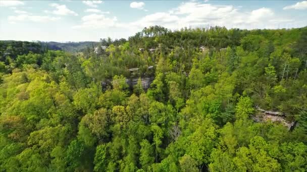 Garganta del Río Rojo en Kentucky — Vídeos de Stock