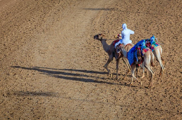 Kamel tävlingsbanan i Dubai — Stockfoto