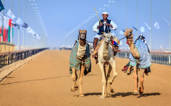 deve yarışı içinde Dubai