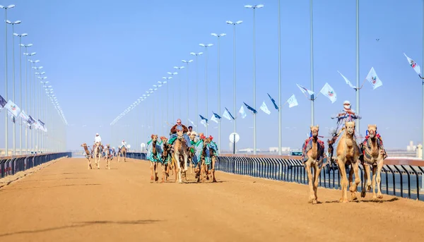 deve yarışı içinde Dubai