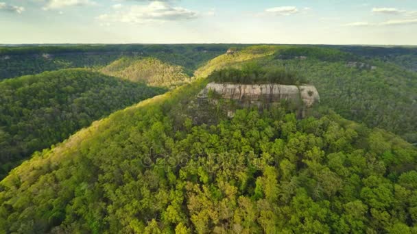 Red River Gorge Baca Rock — Stok video