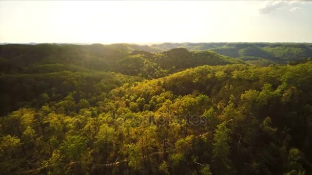 Gorge de la rivière Rouge au coucher du soleil — Video