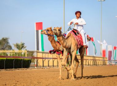 deve yarışı içinde Dubai