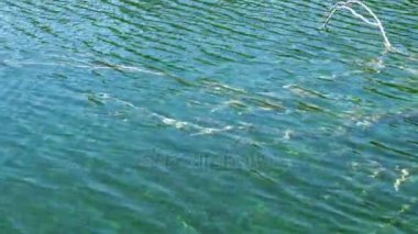 Plitvice Gölleri Ulusal Parkı