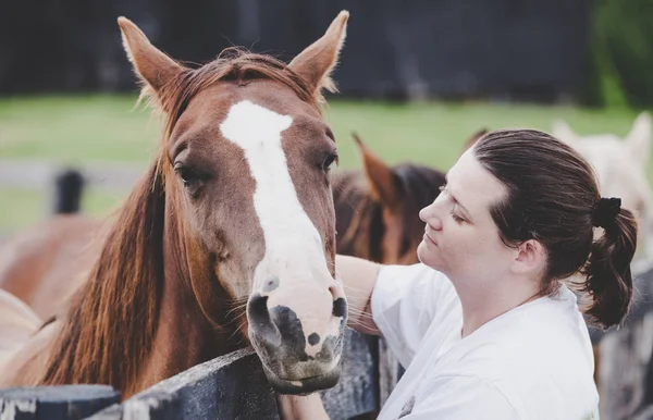 Vrouw met paard — Stockfoto