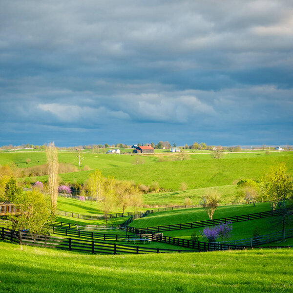 Beautiful springtime scene on countryside