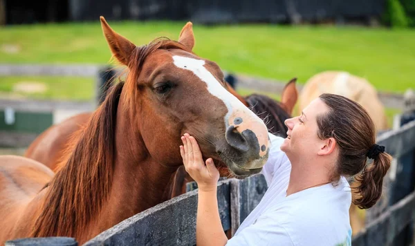 Usmívající se žena dotýkat koně — Stock fotografie