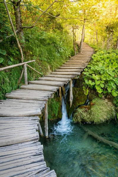 Boardwalk trail with little waterfall — Stock Photo, Image