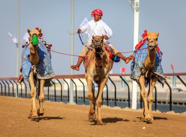 deve yarışı içinde Dubai