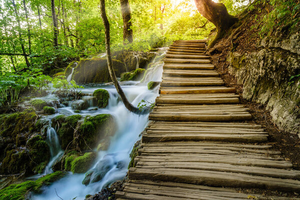 Boardwalk trail with little waterfalls