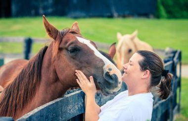 Smiling woman touching horse clipart