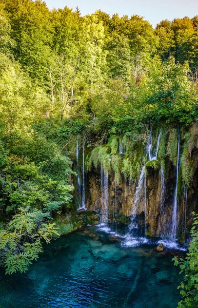 Waterfall surrounded by green forest — Stock Photo, Image
