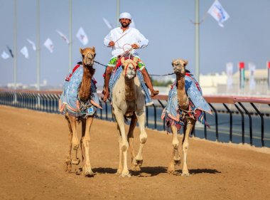 deve yarışı içinde Dubai