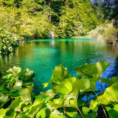 Plitvice Gölleri Ulusal Parkı