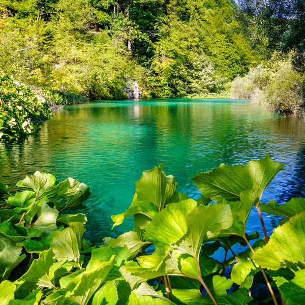 Parque Nacional de los Lagos de Plitvice — Foto de Stock