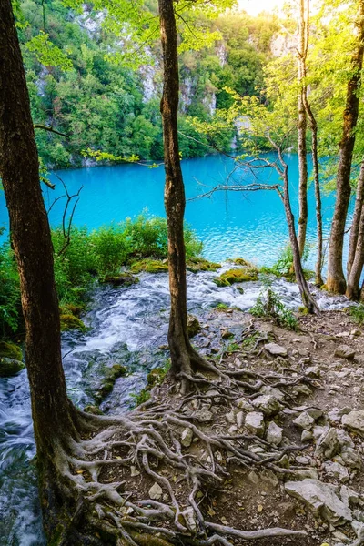 Parc national des Lacs de Plitvice — Photo