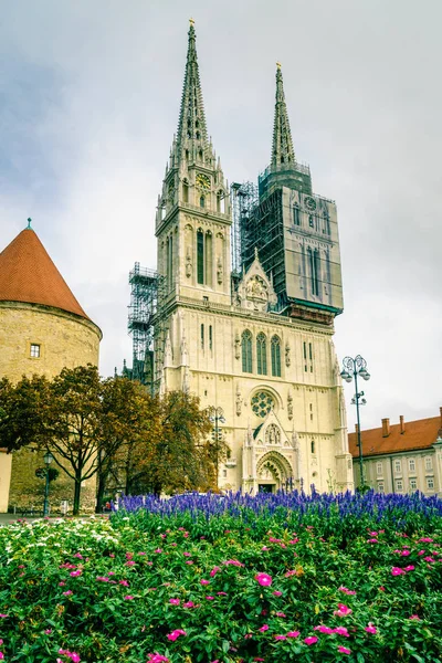 Zagreb Katedrali Manzaralı Çiçeklik Planda — Stok fotoğraf