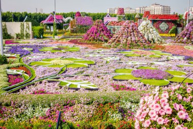 Dubai, Birleşik Arap Emirlikleri, 22 Ocak 2016: Mucize Bahçe, Dubai, Birleşik Arap Emirlikleri başlıca turistik biridir