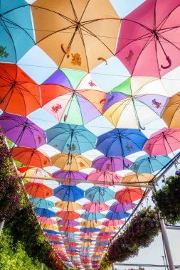 Mucize Bahçe, Dubai, BAE asılı renkli dekoratif şemsiyeler 