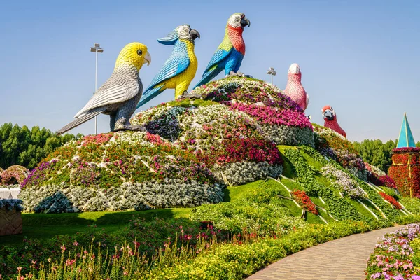 Дубаї Оае Грудня 2016 Чудо Сад Одним Основних Туристичних Визначних — стокове фото