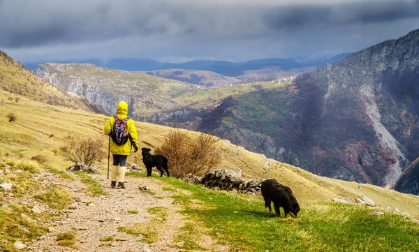 Woman Hiking Dinaric Alps Sarajevo Bosnia Herzegovina — Stock Photo, Image