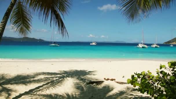 Tropisch Strand Scène Met Blauwe Oceaan Palm Bomen — Stockvideo