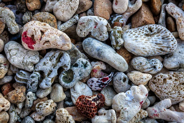 Peblles Trozos Coral Playa Las Islas Vírgenes Británicas — Foto de Stock