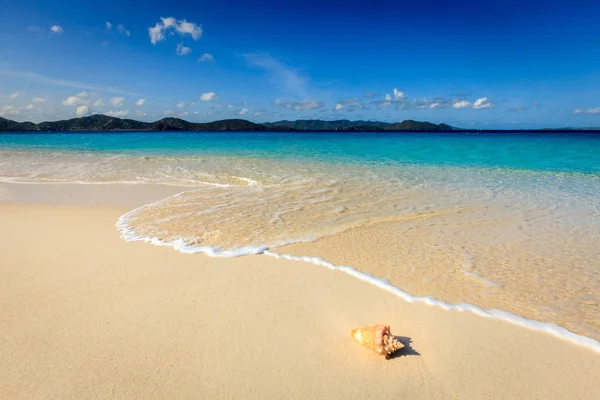 Muschel Strand Auf Einer Kleinen Insel Vor Blauem Himmel — Stockfoto