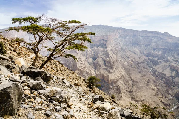 Vista dalla montagna Jebel Shams in Oman — Foto Stock