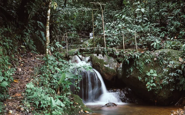 Fußgängerbrücke über einen Bach in Costa Rica — Stockfoto