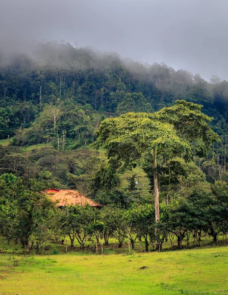 Piccola azienda agricola in Costa Rica centrale — Foto Stock