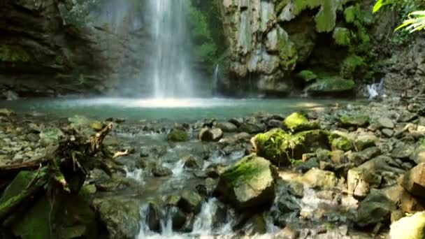 Cascata Nel Parco Nazionale Del Corcovado — Video Stock