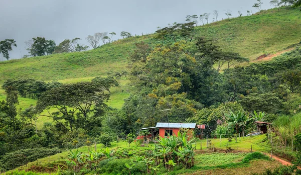 Agriturismo Piedi Una Collina Nel Centro Della Costa Rica — Foto Stock