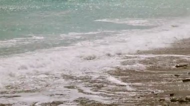 Kosta Rika Corcovado Milli Parkı boş bir plaj Manzara görünümü