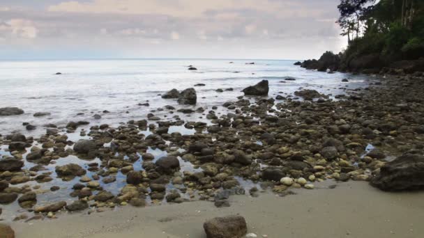 Vista Panoramica Una Spiaggia Vuota Nel Parco Nazionale Del Corcovado — Video Stock