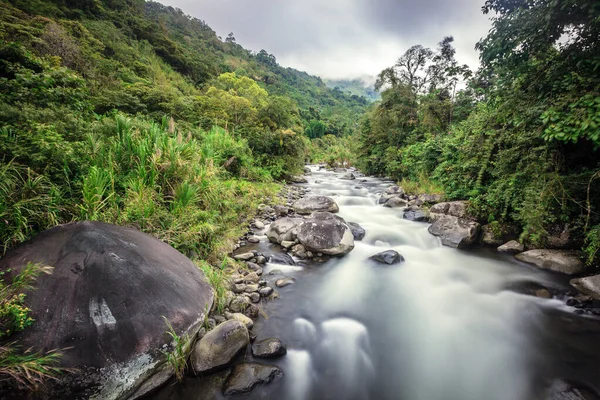 Langzeitbelichtungsbild Eines Baches Nebelwald Costa Rica — Stockfoto