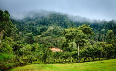 Kosta Rika 'nın merkezindeki bir tepenin eteğindeki çiftlik evi.