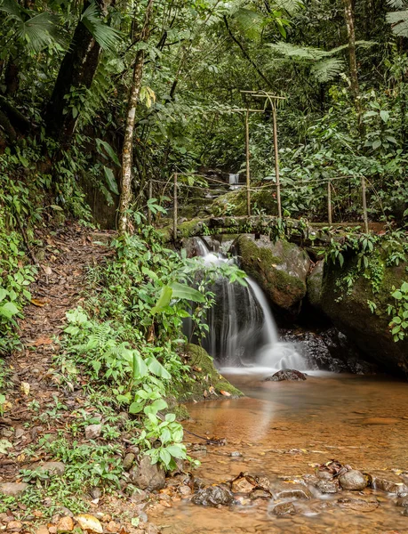 Drewniany Kładka Nad Małym Potoku Kostaryce Lasu — Zdjęcie stockowe
