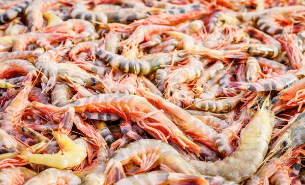 Fresh Shrimp Harvest Market Chittagong Bangladesh — Stock Photo, Image