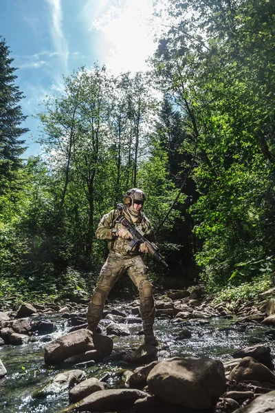 Birleşik Devletler Ordusu Korucu — Stok fotoğraf