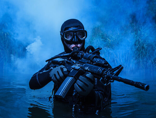 Морской котик
