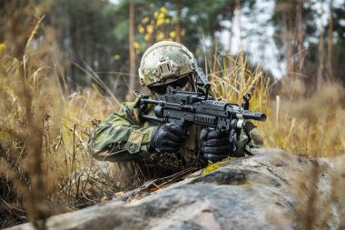 Norveç asker ormanda
