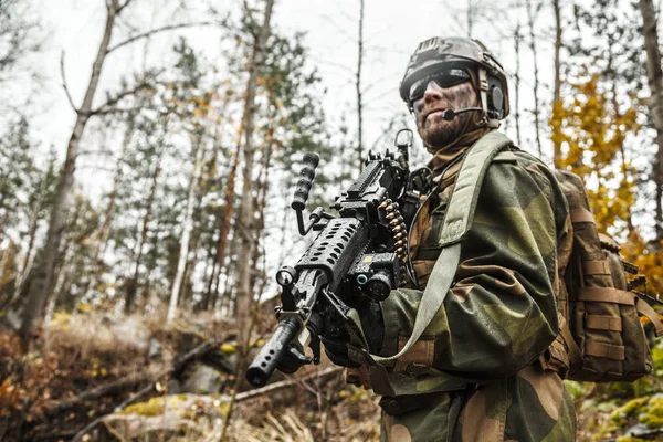 Норвежский солдат в лесу — стоковое фото