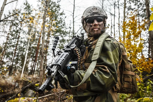 Soldat norvégien dans la forêt — Photo