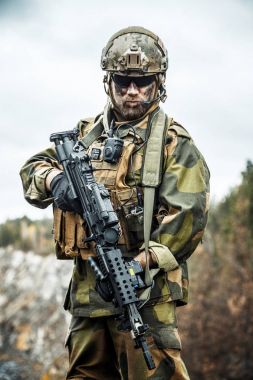 Norveç asker ormanda