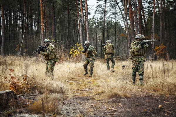 Norska soldater i skogen — Stockfoto