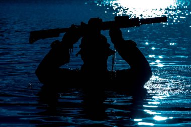 Orman nehirde geçiş