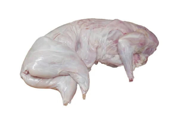 Tusza mięsna zająca na białym tle — Zdjęcie stockowe