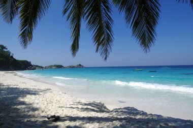 Phang Nga, Tayland - 16 Aralık 2019: temiz su güzel deniz